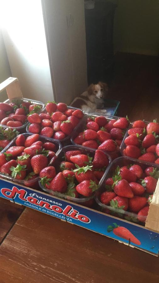 B&B Monte Donato Bologna Luaran gambar